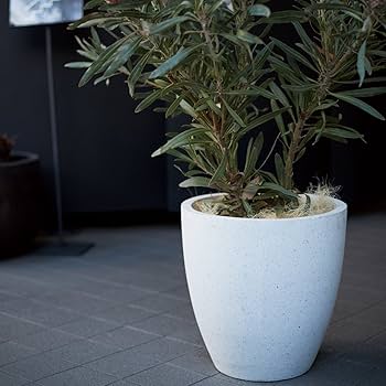 Konect one-series 植木鉢 多肉植物・観葉植物・サボテンを仕立てる鉢の専門店 Konect