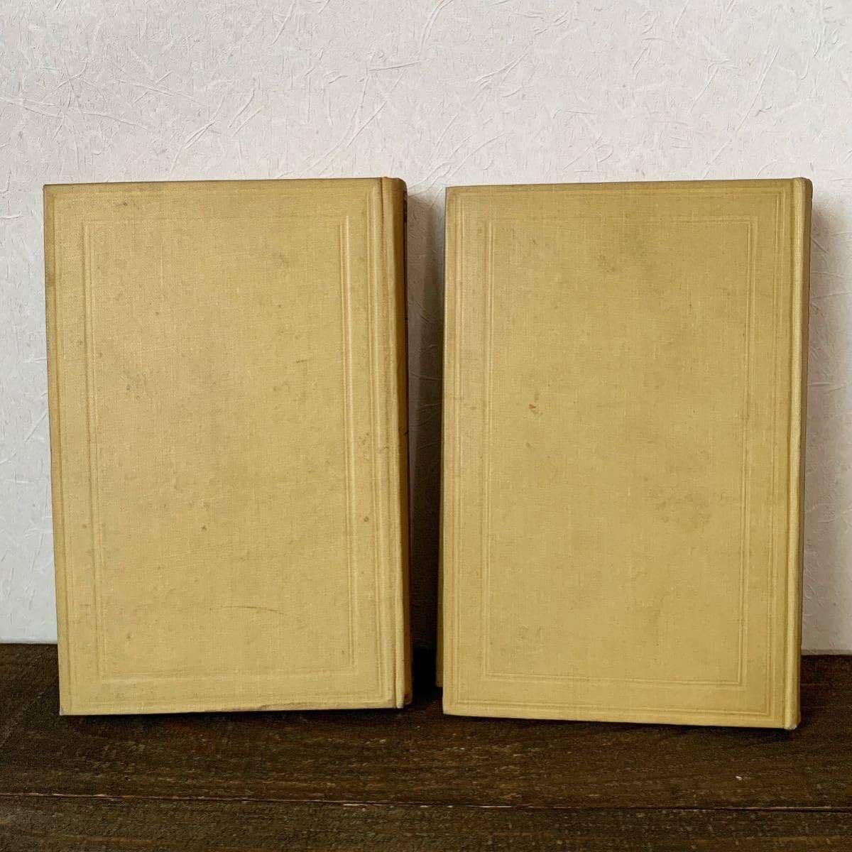 Amazon.co.jp: [アンティーク]ハンガリーのアンティーク洋書2冊セット