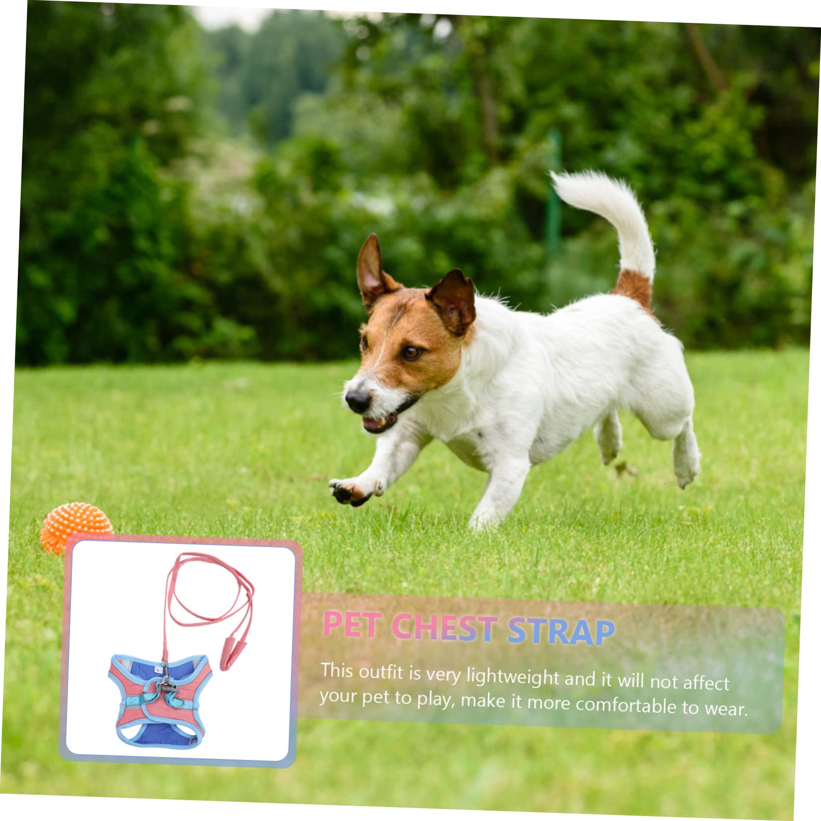 Didiseaon Chaleco Reflectante de 3 Piezas para Perros Y Gatos Moderno Y Elegante para Pasear al Aire con Correa.