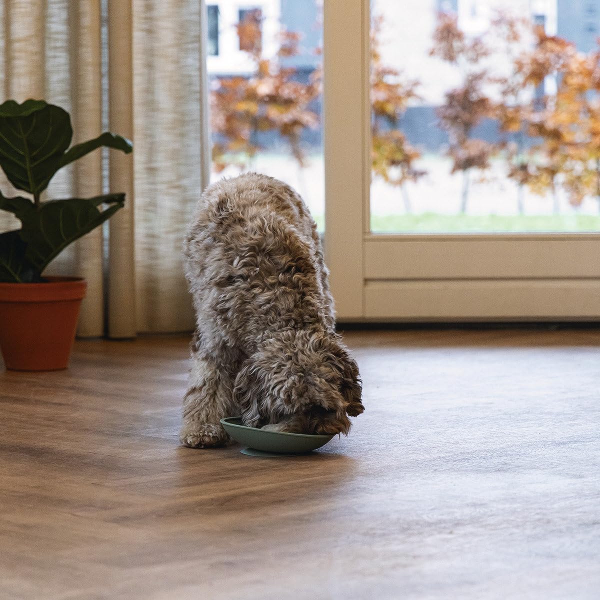 Beeztees Yavru Köpek Mama Yeme Oyuncağı, Silikon, Yeşil, 19cm