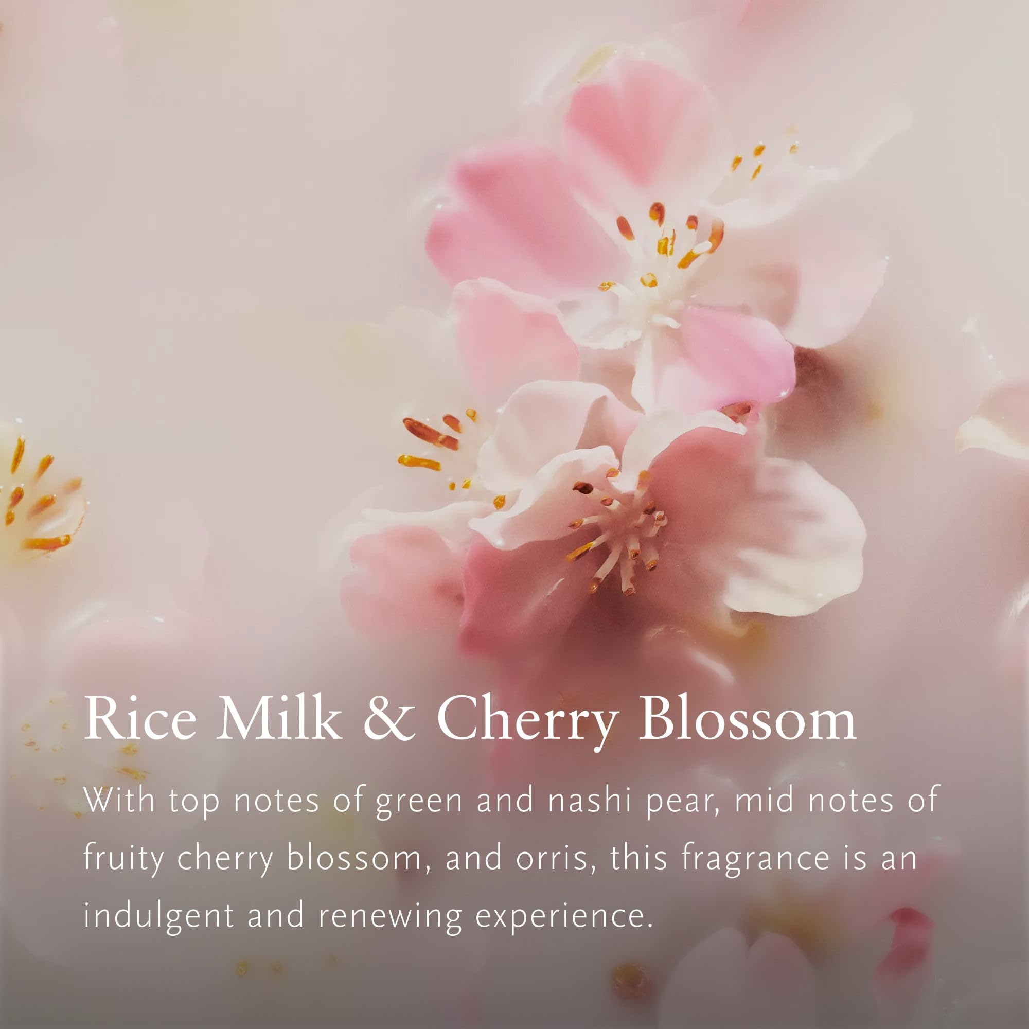 RITUALS Reed Diffuseur 1 x recharge The Ritual of Sakura - Double recharge - bâtonnets parfumés aux fleurs de cerisier et lait de riz - Parfum d'ambiance rafraîchissant - 1 x 500 ml