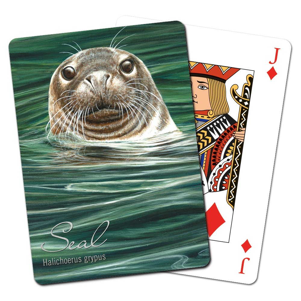 Tree-Free Greetings Deck of Playing Cards, 2.5 x 0.8 x 3.5 Inches, Seal (CD49727)