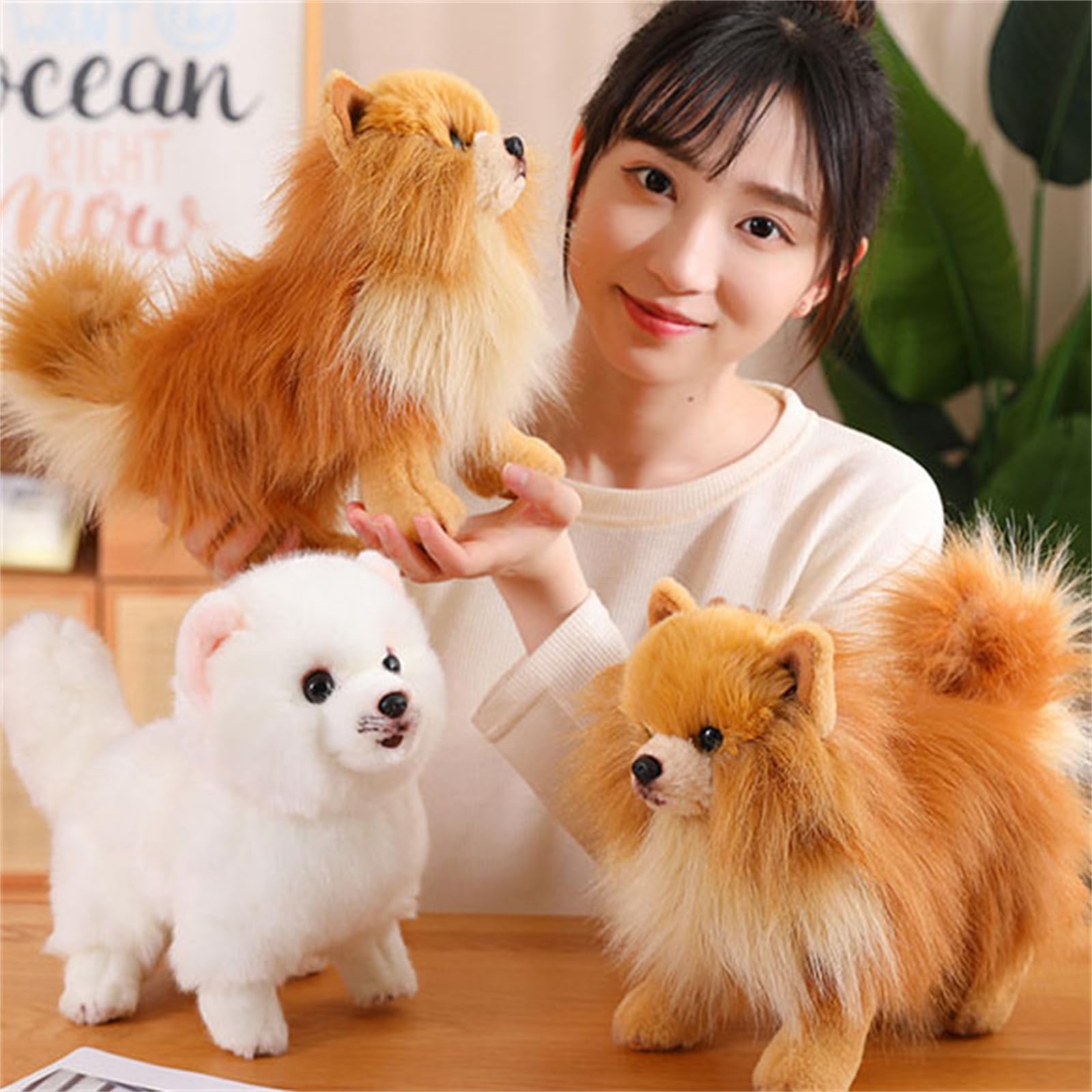 Plüschtier, Weiches Pomeranian-Hunde-Plüschtier, tierisches lebensechtes Hundeplüschtier, 26 cm(Brown Pomeranian)