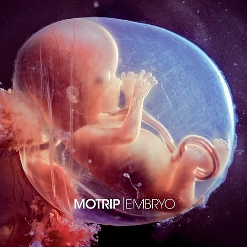 motrip albtraum mp3 motrip albtraum mp3