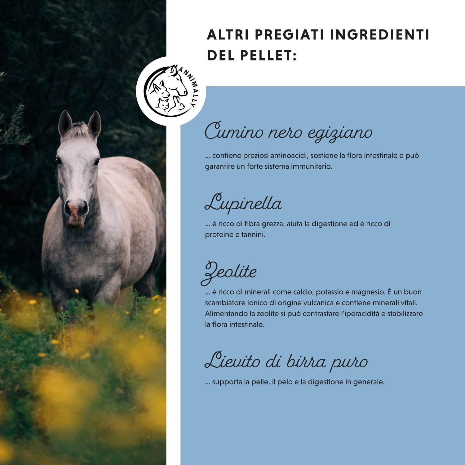 Annimally Zinco per Cavalli - Pellets di Zinco (700 g) ad Alta dose con cumino Nero, Zeolite, esparcetta e lievito di Birra per la Pelle, i Capelli e Gli Zoccoli