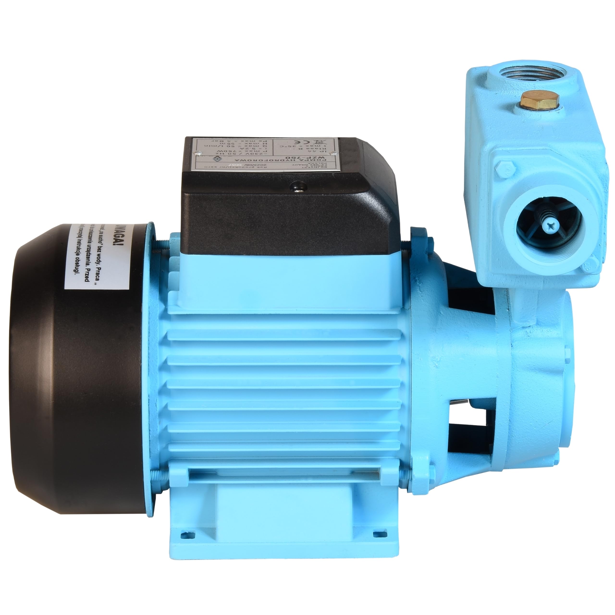 Pompa dell'acqua WZP 750 (750 W, 3000 l/h, altezza di mandata 55 m) - per acqua pulita - pompa da giardino, per irrigazione, dell'acqua piovana