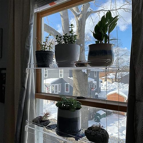 Miniatura 8 de Kamonda Estantes acrílicos para plantas de ventana, estante de pared flotante colgante transparente, estante para macetas, estante para plantas de
