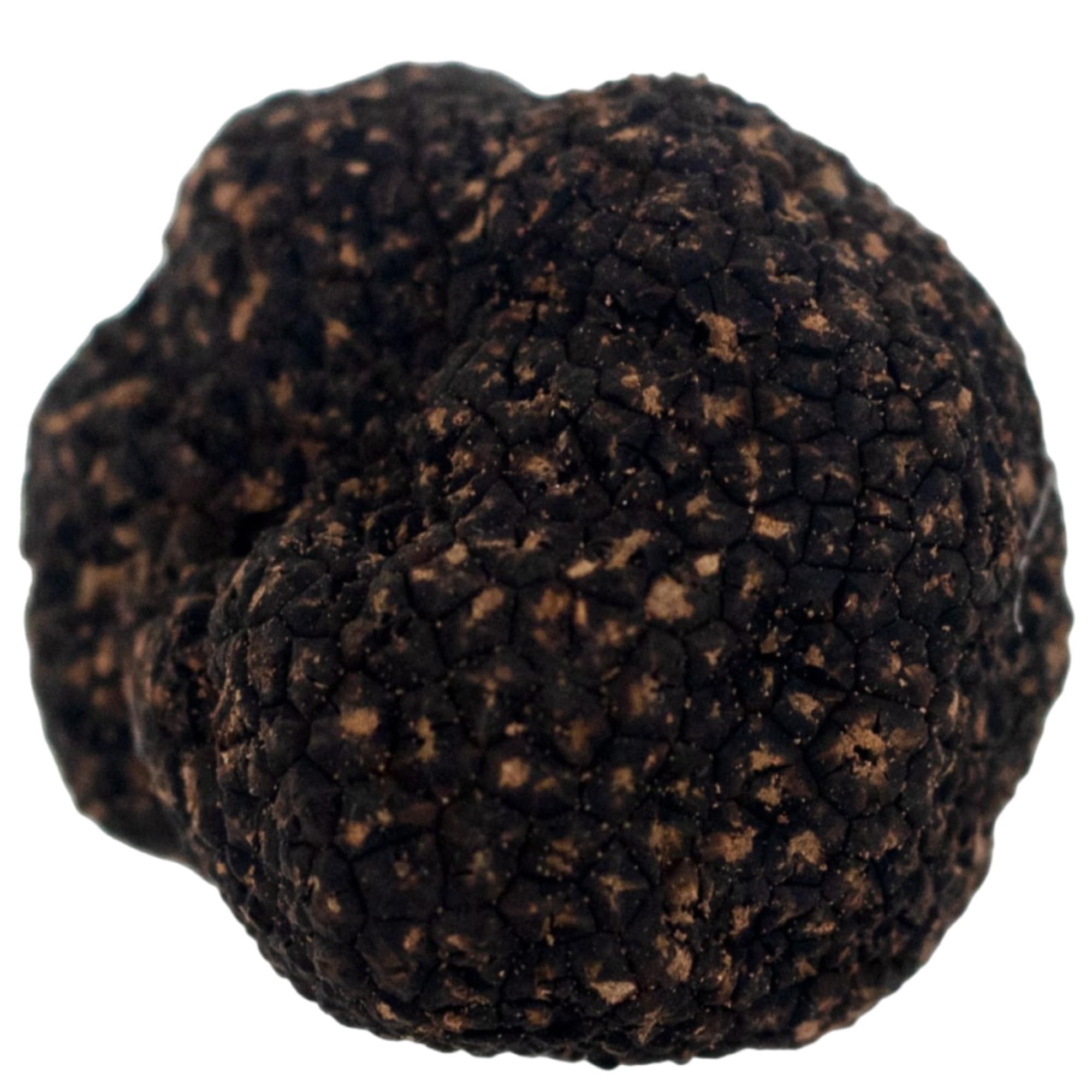 【超芳醇】 Truffle Universe 天然 トリュフ お試し 極上品 約…