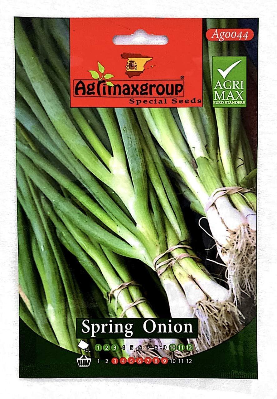Agrimax Spring Onion Seeds