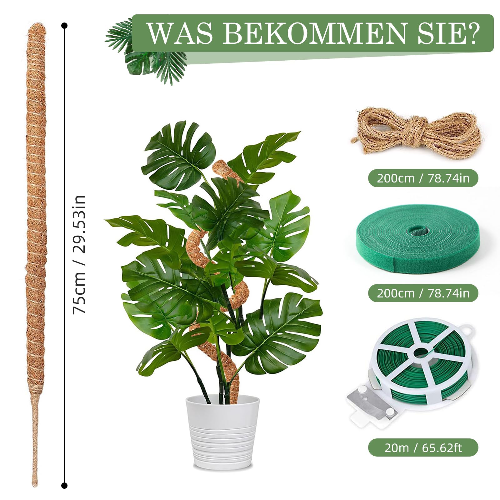 Podpórka do roślin pnących Monstera 75 cm, 2 sztuki prętów, wsparcie dla roślina pokojowych