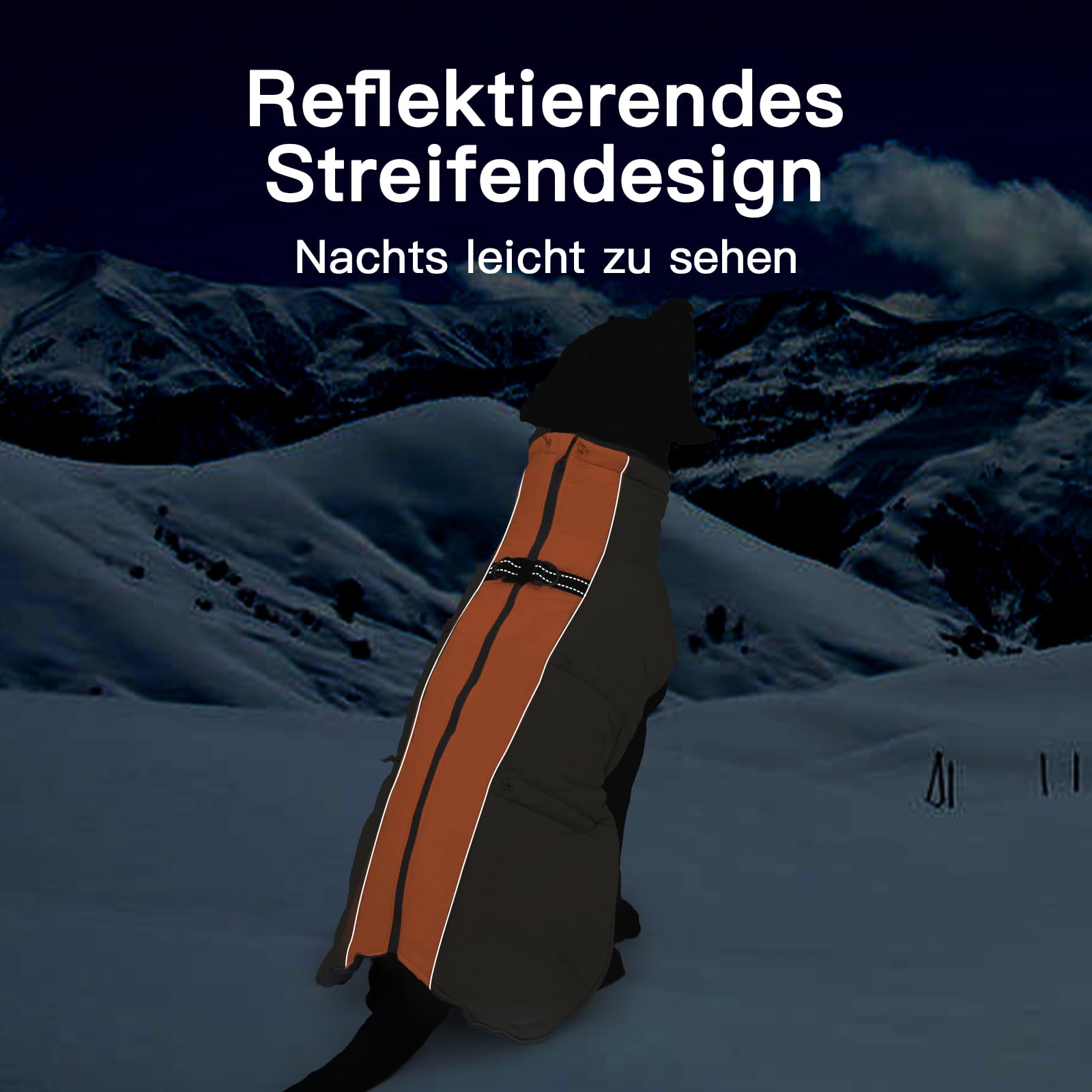 Cappotto invernale per cani grande, resistente all'acqua, riflettente, con pettorina e chiusura lampo antiscivolo, caldo e morbido, Border Collie, Dalmata, Albicocca, XL
