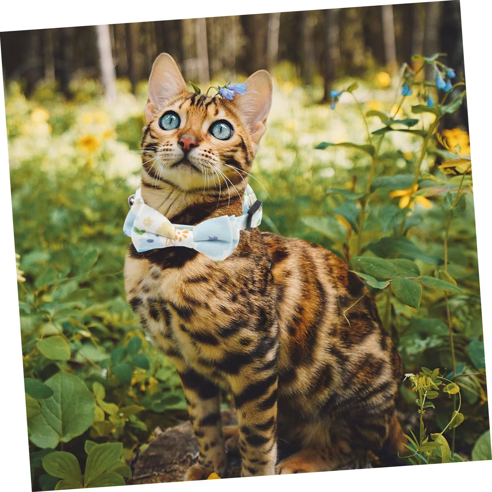 BESPORTBLE 8pezzi Collare Decorativo Per Gatti e Cani Design Fiori e Collari Regolabili e Sicuri Per Animali Domestici Accessorio e Morbido Per Feste e Eventi