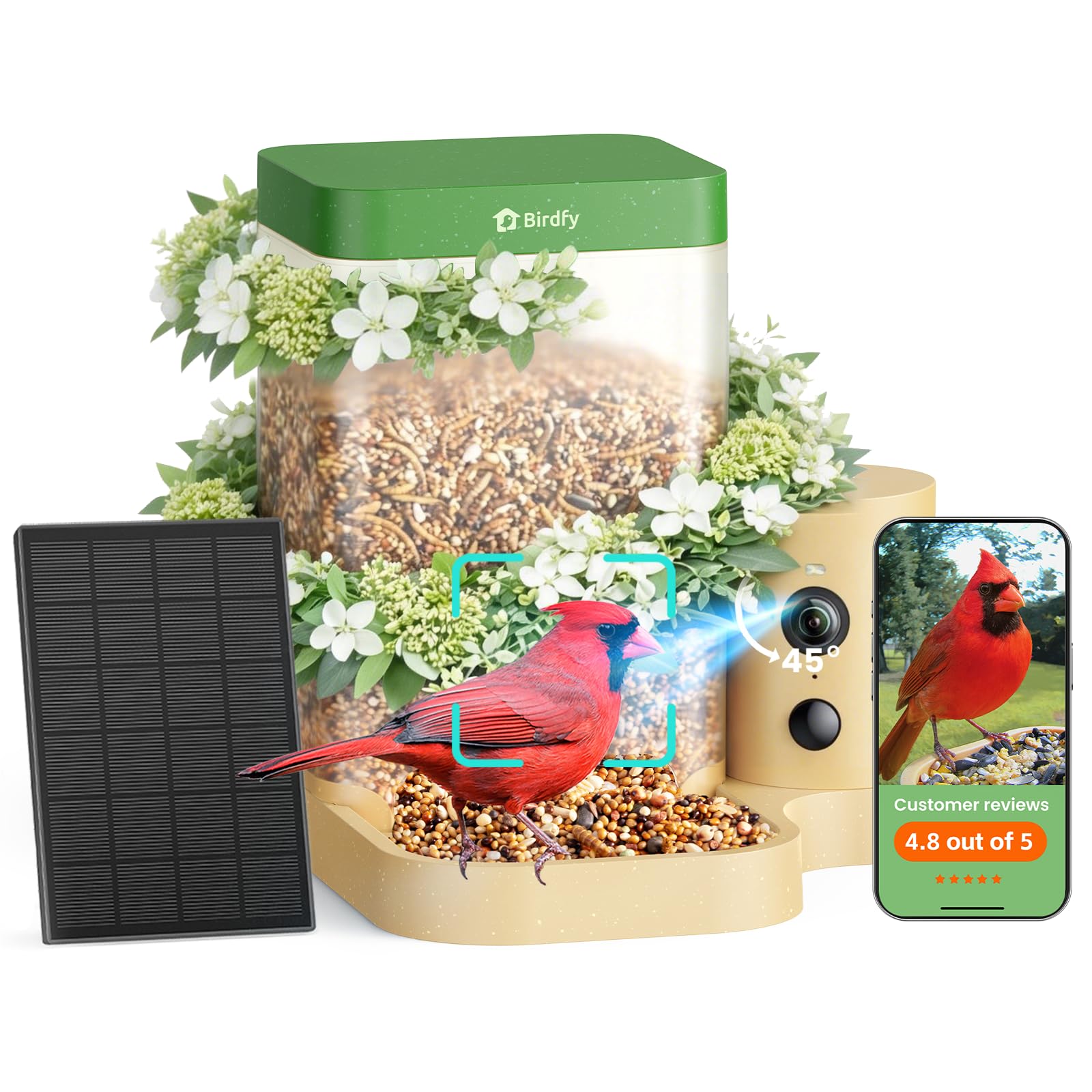 Birdfy Rookie Bird Feeder with Camera