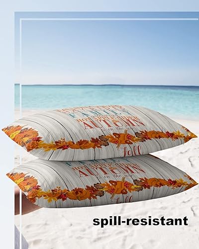 Miniatura 4 de applebless 2 Packs Throw Pillow Covers Rectangle 20" x 12", Pumpkin Autumn Thanksgiving Waterproof Couch Cushion Cover for Sofa Bedroom Living Room