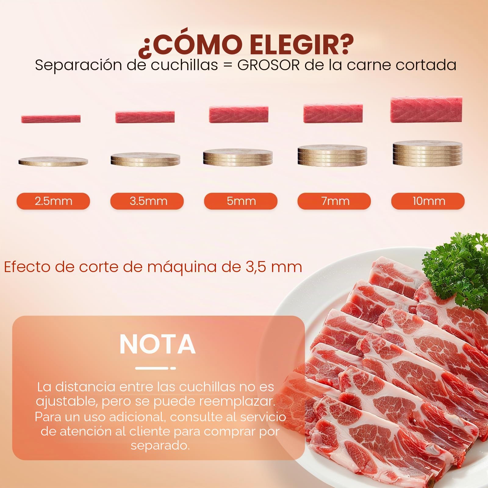 NEWTRY Cortadora de carne comercial 3,5mm 160kg/h para Gastro | Acero inoxidable, motor potente, fácil de limpiar, alta eficiencia, duradero, versátil para restaurantes, cantinas, catering