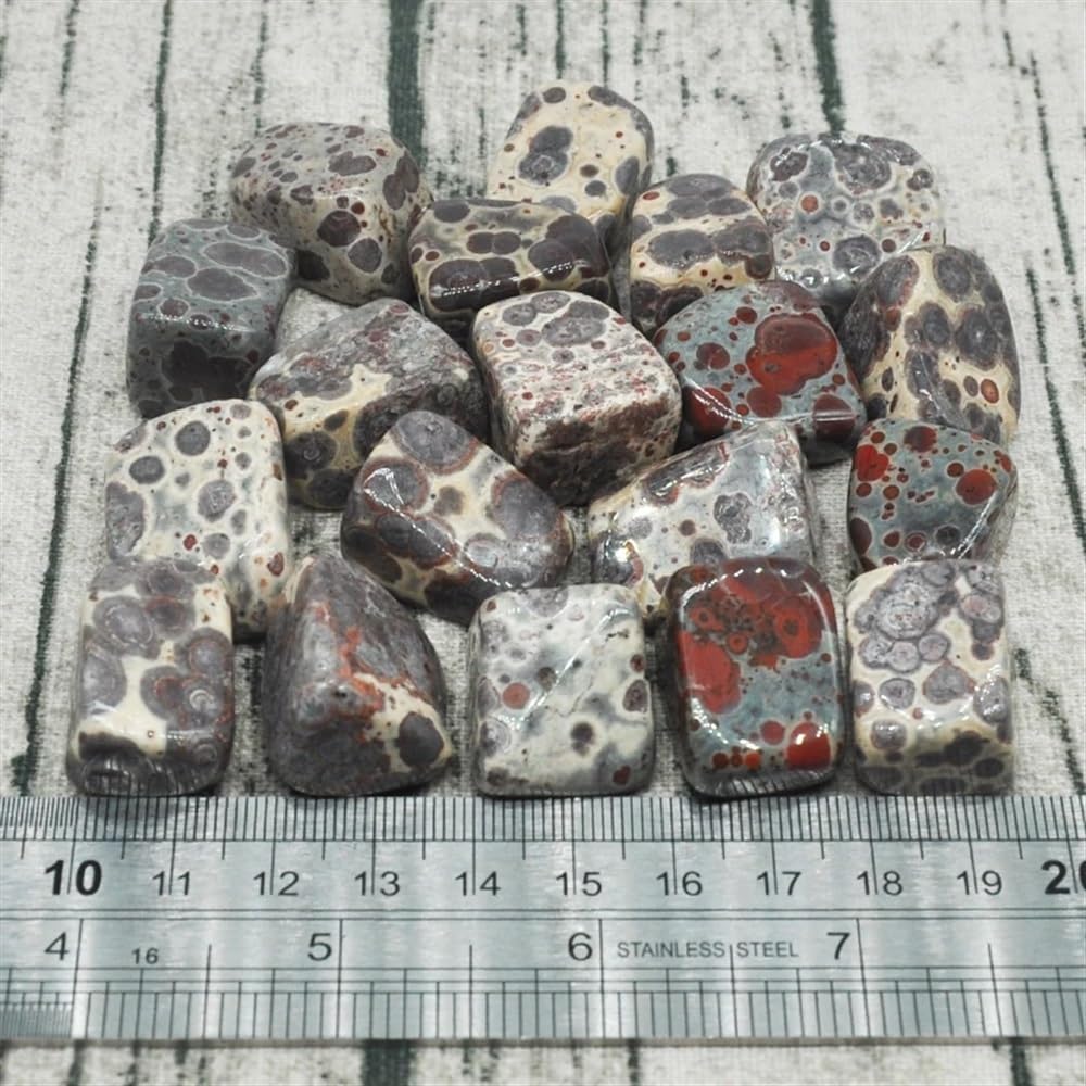 AtkitS Bellissimo Naturale variegato Fiocco di Neve Ghiaia Campione Dimensione Irregolare burattato Pietra curativa Cristal di Quarzo Minerale Decorazione Acquario Domestico(500g)