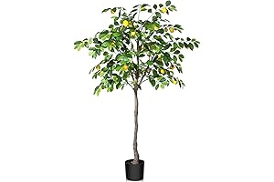 Kazeila Artificial Lemon Tree: A Lush Accent for Your Home