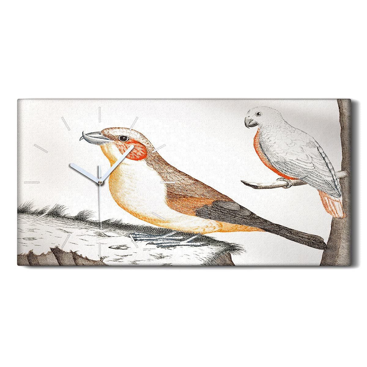 Horloge sur toile design moderne 60x30cm image art mural haut de gamme oiseaux pour salon