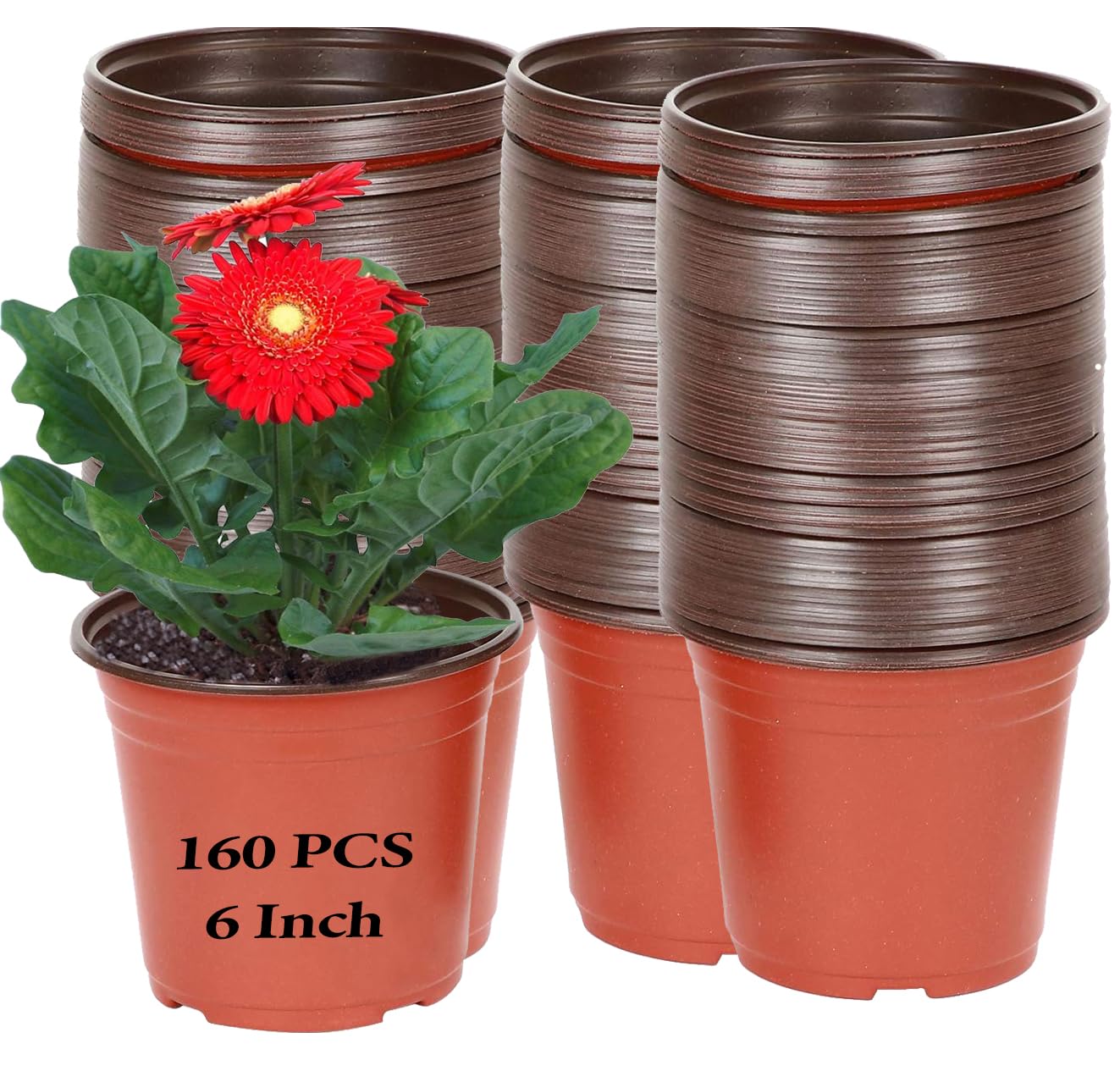 KINJOEK 160 Packs 6 Inch 1/2 Gallon Plant Nursery Pots