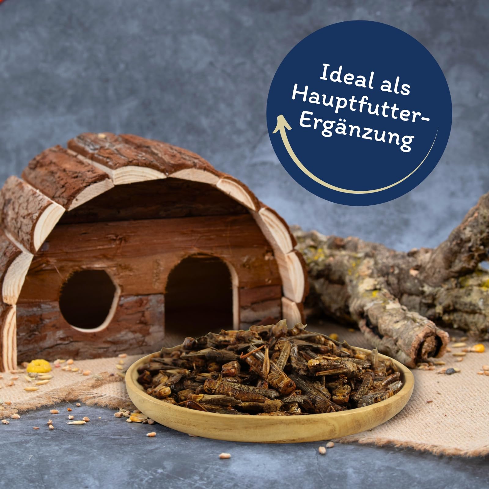 Lyra Pet® 5 kg Heuschrecken getrocknet Vogelfutter Wildvögel Nager | Reich an Proteinen & Mineralien - Schonend getrocknetes Vogefutter - Ideal als Ergänzung - Natürliches Futter