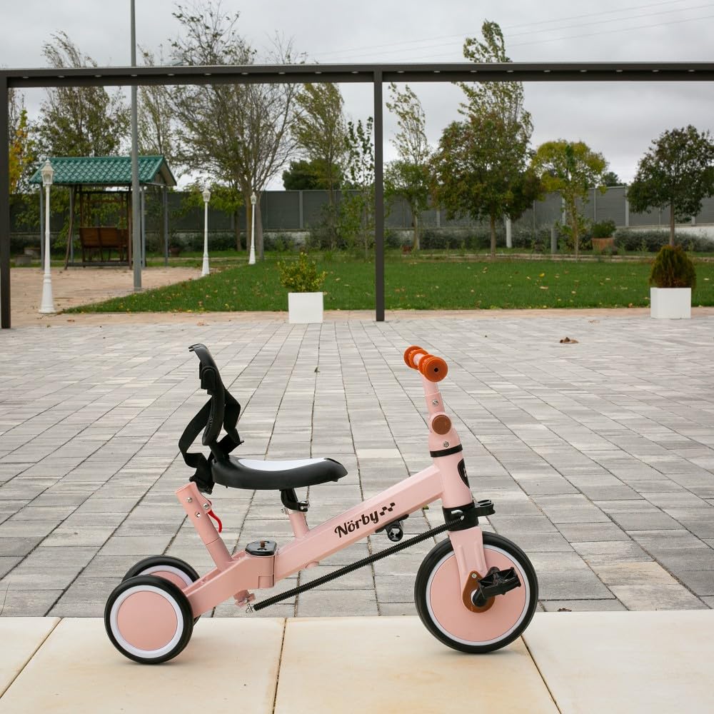 Interbaby - Triciclo "Norby" e Bici Evolutiva 5 in 1 con Capottina - 1-5 Anni