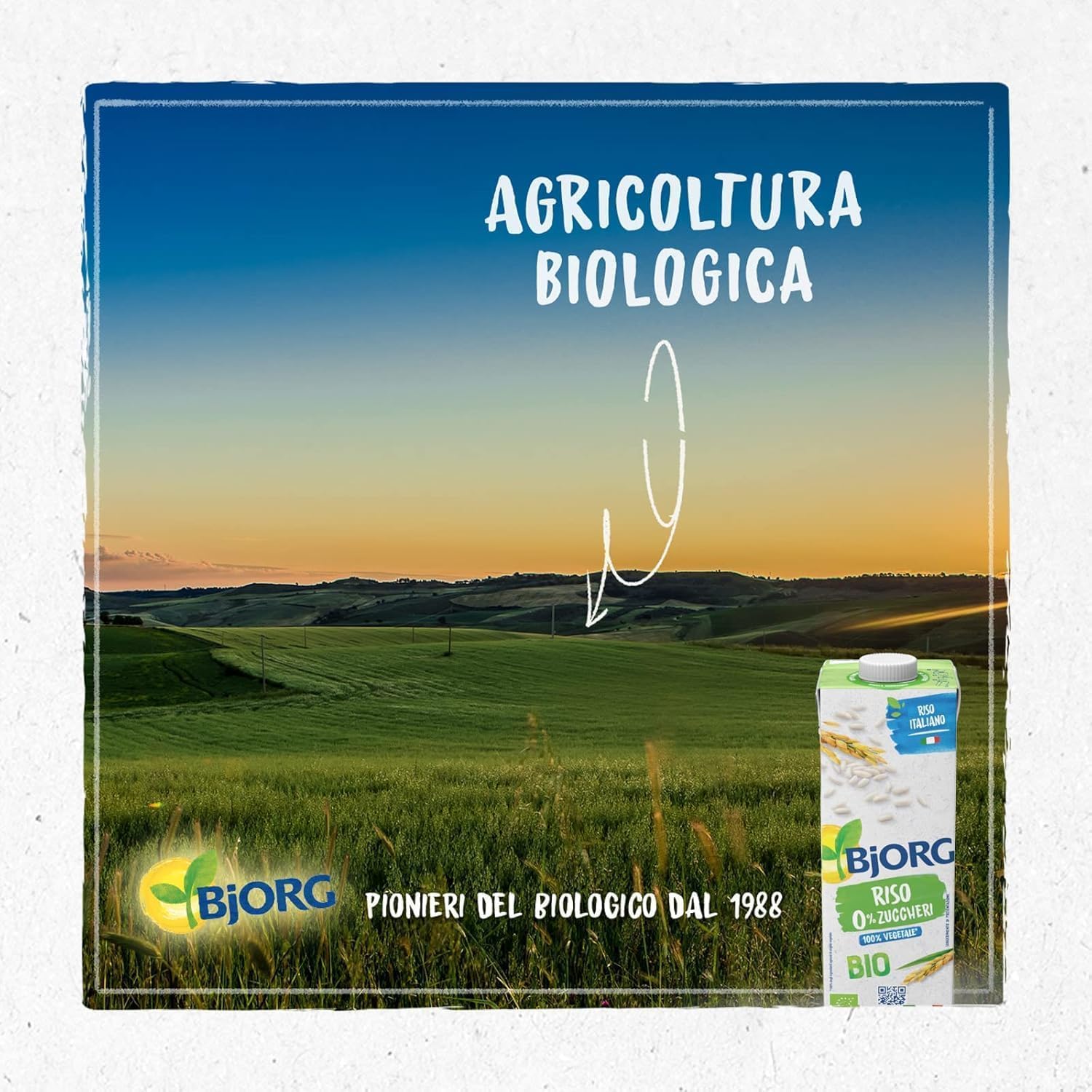 BJORG Bevanda di Riso Biologico 0% Zuccheri, Bevanda Vegetale a Basso Contenuto di Grassi, 100% Ingredienti di Origine Vegetale, Senza Glutine, Vegan, Prodotto in Italia, 1L