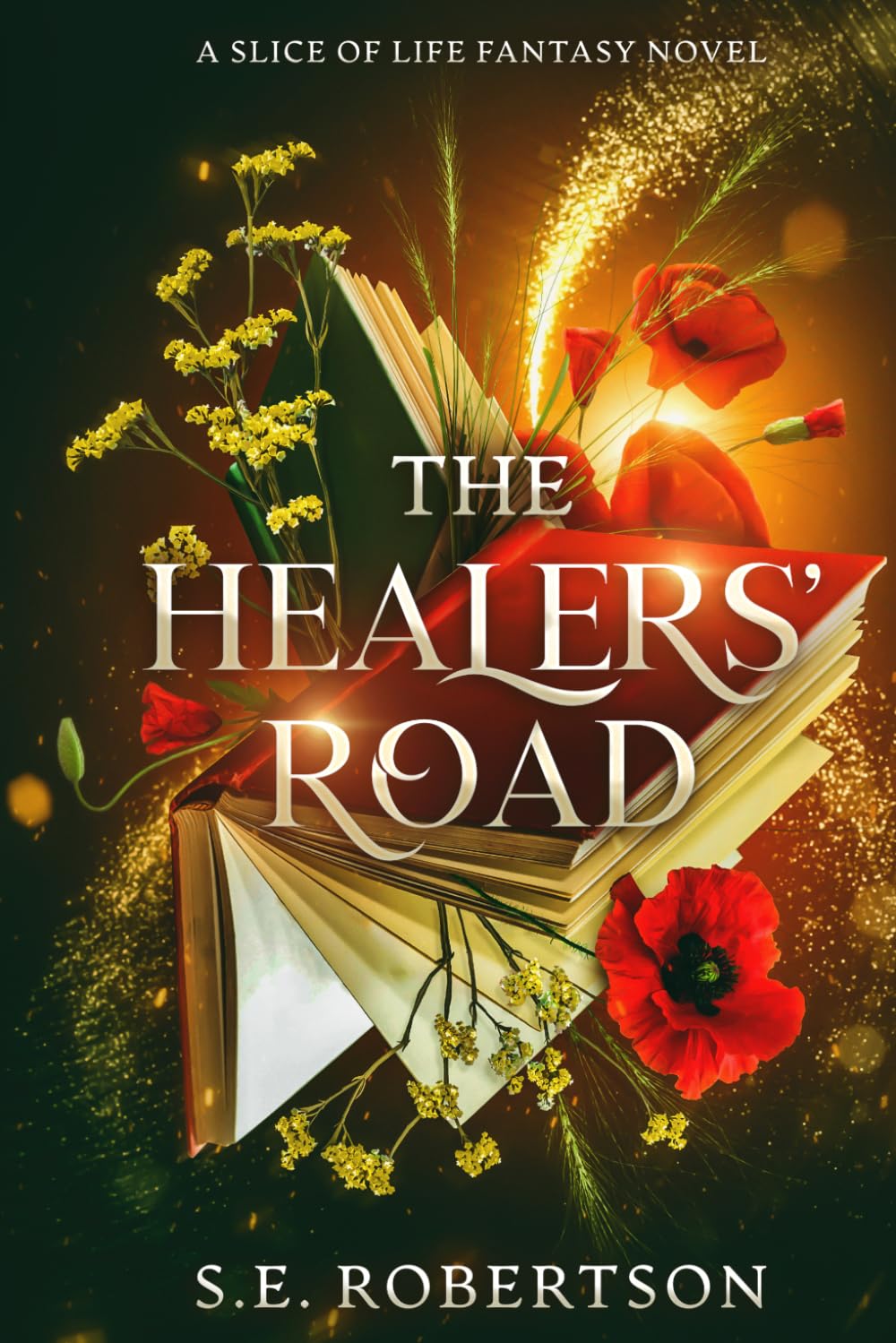 The Healers' Road: A Slice of Life Fantasy Novel