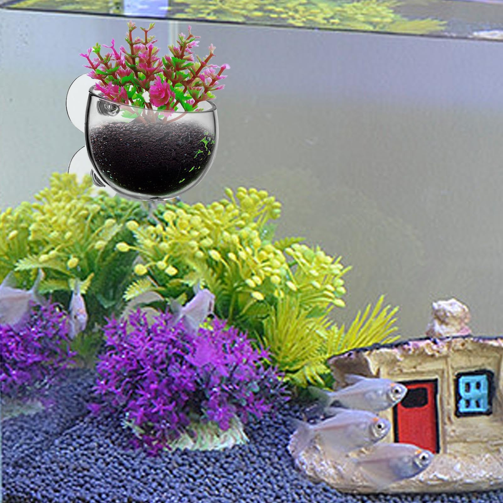 Toddmomy 2x Glas-Pflanzgefäße Für Aquarien – Mit Saugnäpfen Zum Befestigen An Der Scheibe