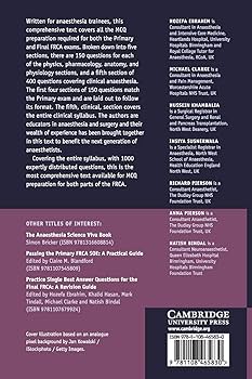 719O2sikbEL._AC_UF350,