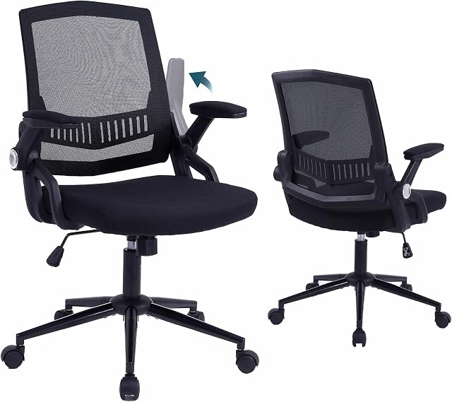 ralex-chair Home Office Chair Adjustable Height, Desk Ergonomic Office Chair with Flip-up Armrest Lumbar Support, Mesh Back Computer Office Chair Swivel Chair for Home, Work & Gaming (Black)