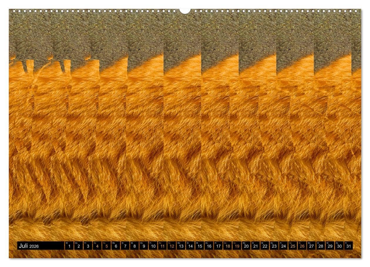Magische Bilder - 3D Stereogramme (hochwertiger Premium Wandkalender 2026 DIN A2 quer), Kunstdruck in Hochglanz: Fantastische dreidimensionale Raumbilder (CALVENDO Spass)