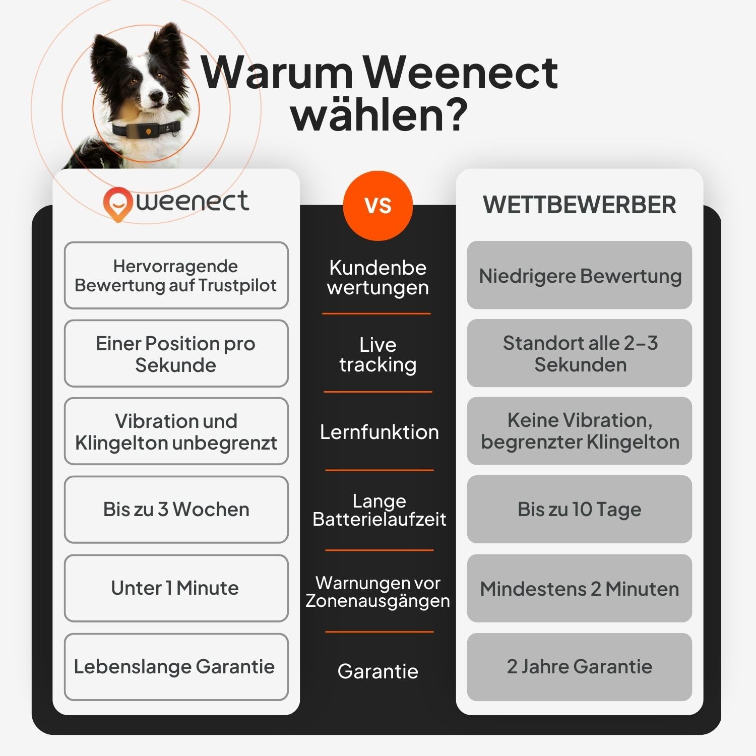 Weenect Hund XT - GPS-Tracker für Hunde Ohne Halsband | Wasserdicht | XL-Antenne | Unbegrenzte Reichweite Abonnement Erforderlich