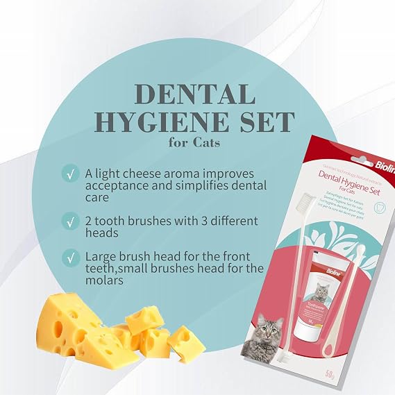 Bioline Cheese Flavored Cat Oral Care Set [Energy Class A]
