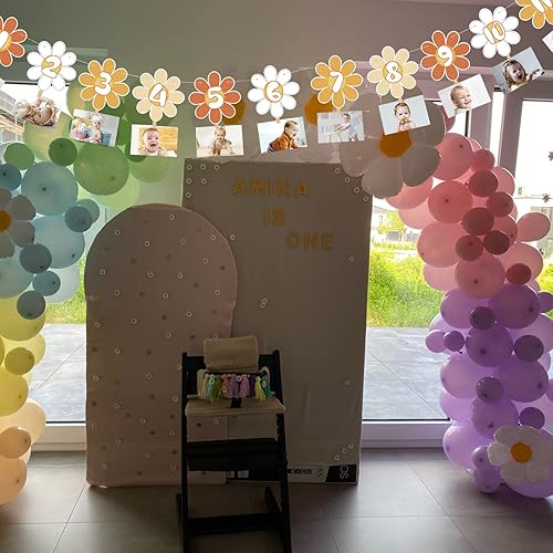 Miniatura 4 de Renyangbo Pancarta de fotos Groovy Party Daisy Garland Decoración de fiesta de primer cumpleaños Cartel mensual para niño y niña, pancarta bohemia