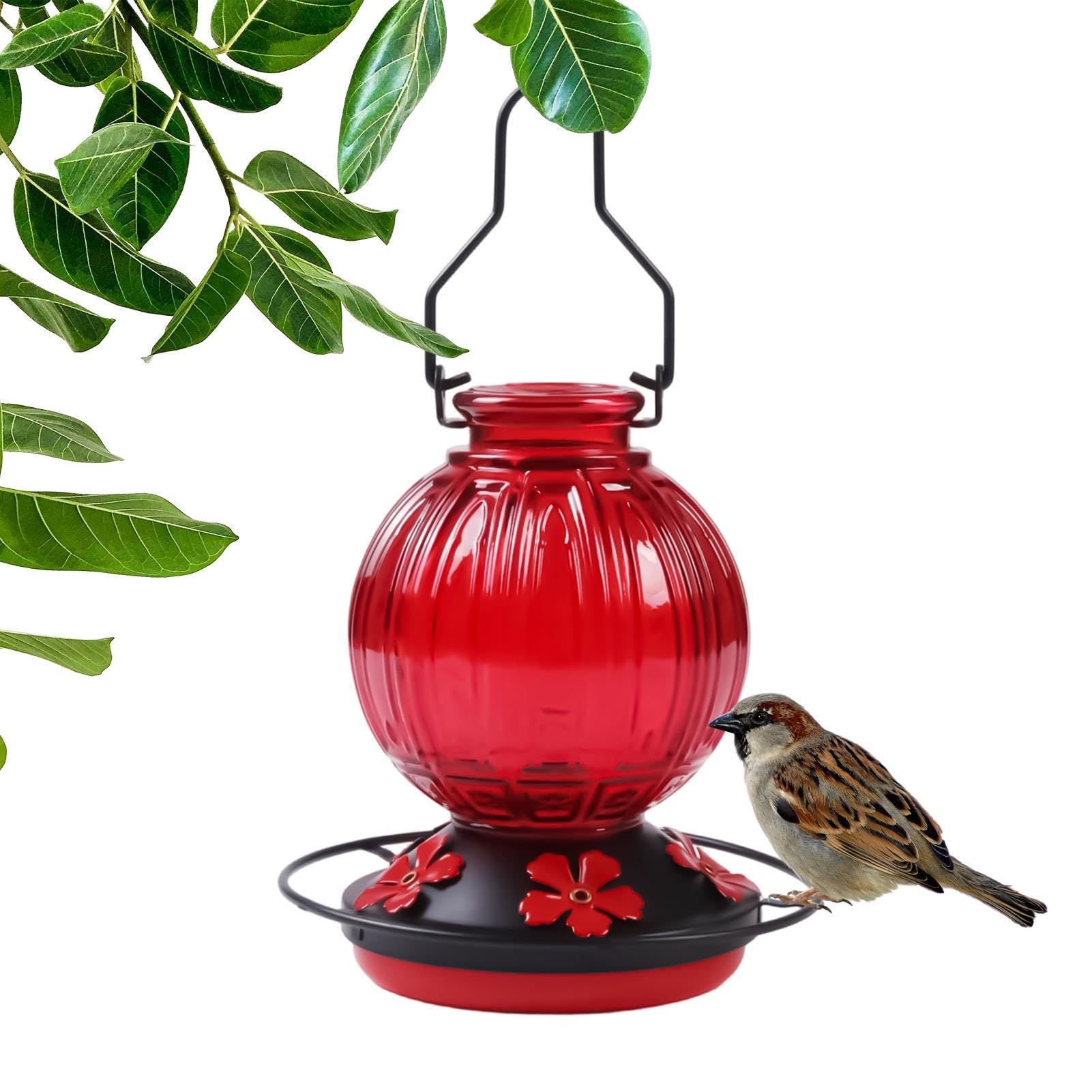 Mangeoire pour colibris : évitez le gaspillage avec notre station d'alimentation oiseaux