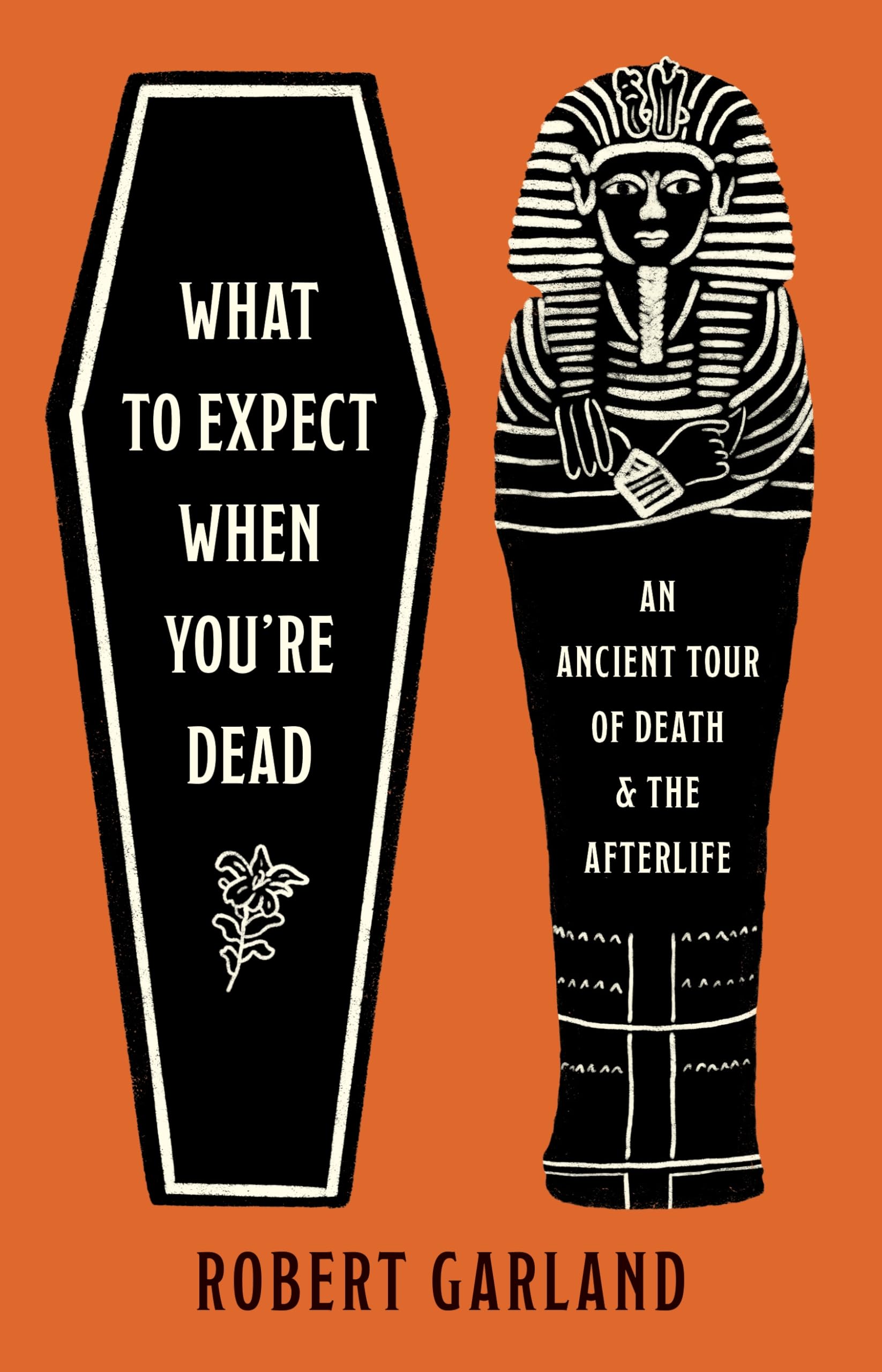 What to Expect When You're Dead by Robert Garland (Hardback Book)