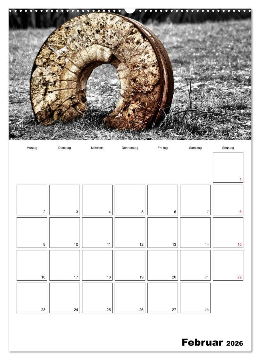 schwarz/weiß trifft farbe - DEIN TERMINKALENDER/Planer (hochwertiger Premium Wandkalender 2026 DIN A2 hoch), Kunstdruck in Hochglanz: Ein ... Fotos den besonderen Look (CALVENDO Natur)
