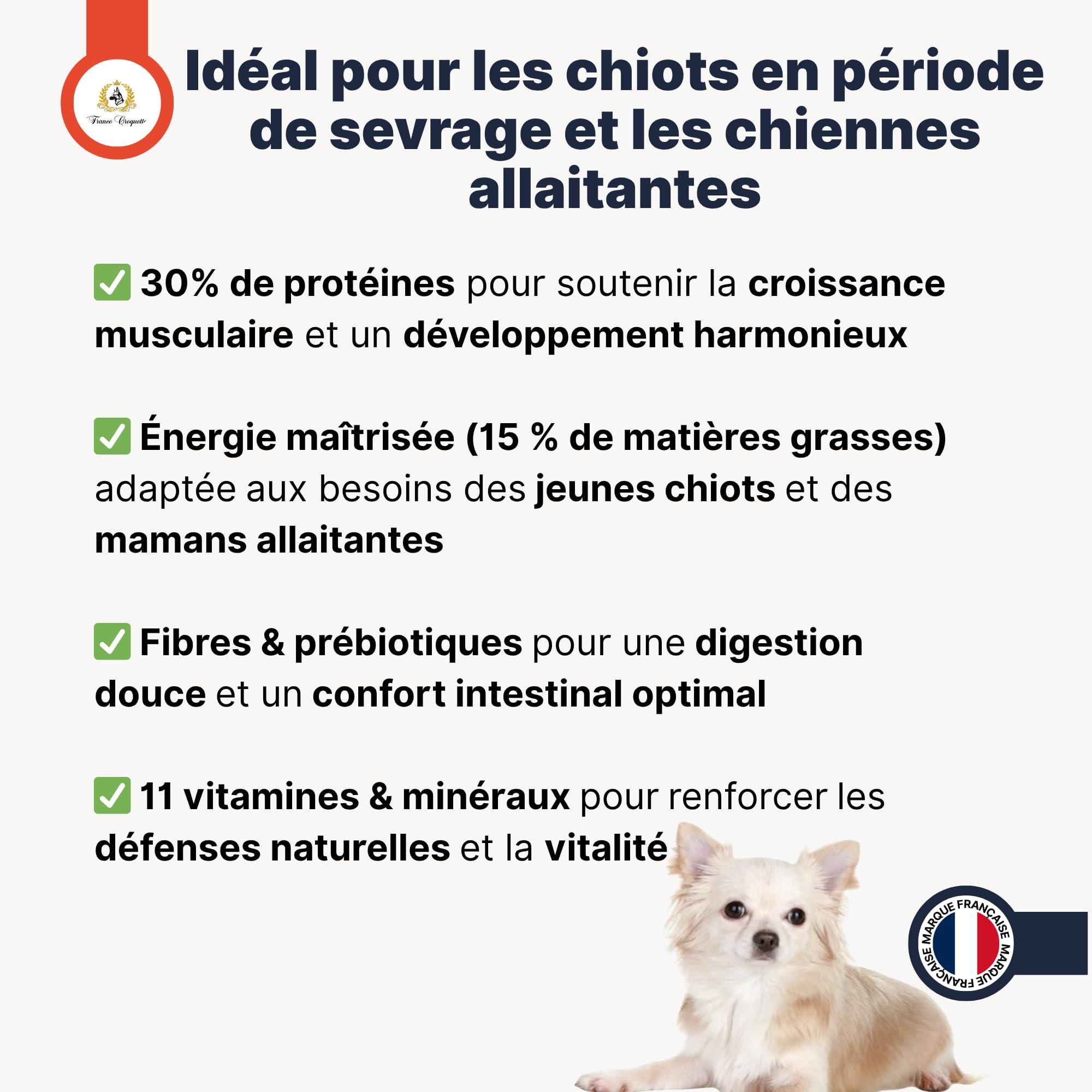 Croquettes Chiens Premium – Gold Starter Mère & Chiots 1 à 3 Mois & Chiennes Gestantes | Croissance, Sevrage Facile, Immunité, Digestion & Vitalité | Fabrication Française – Sac 10 kg