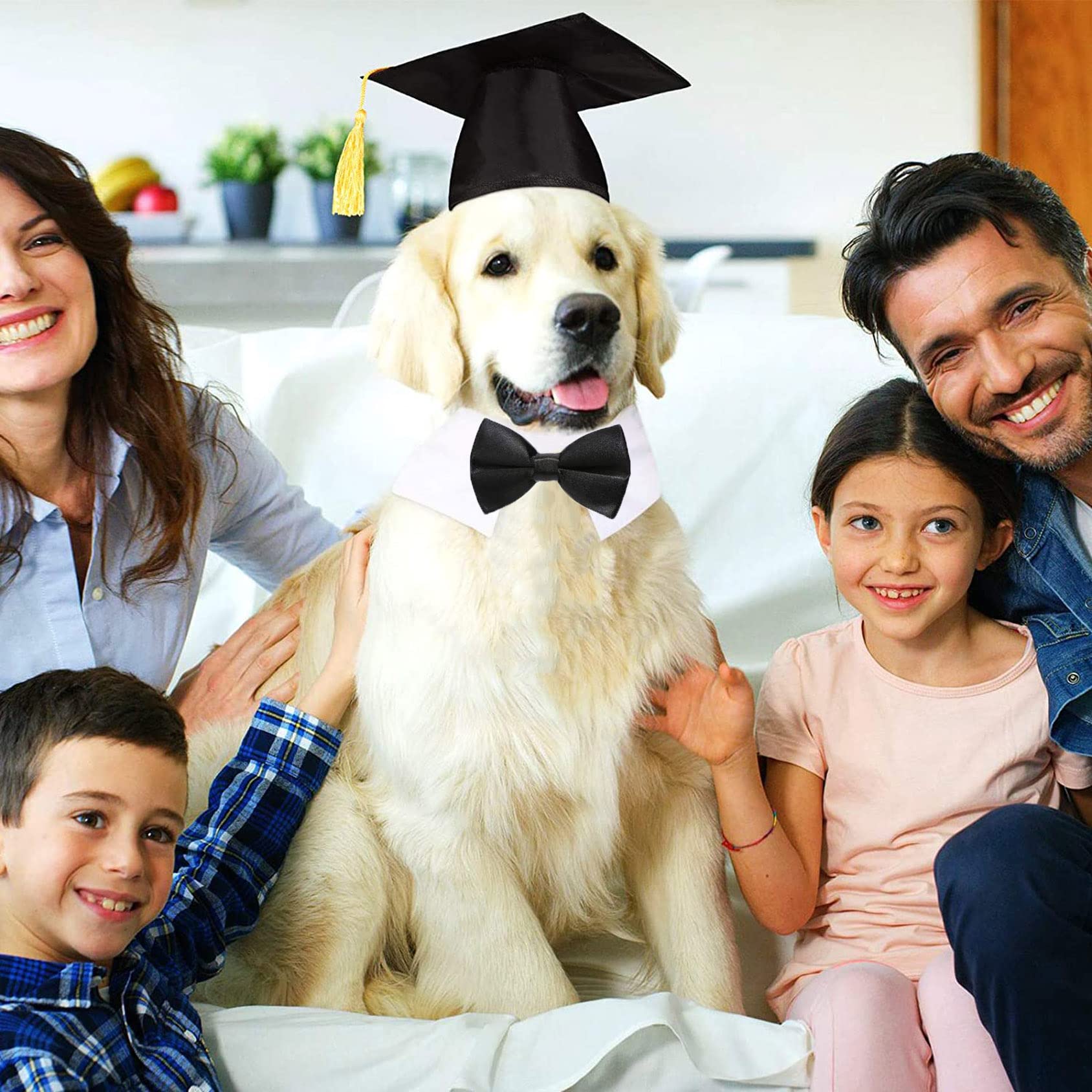 Dog Hats For Large Dogs Pet Graduation Caps With Bowtie Necktie