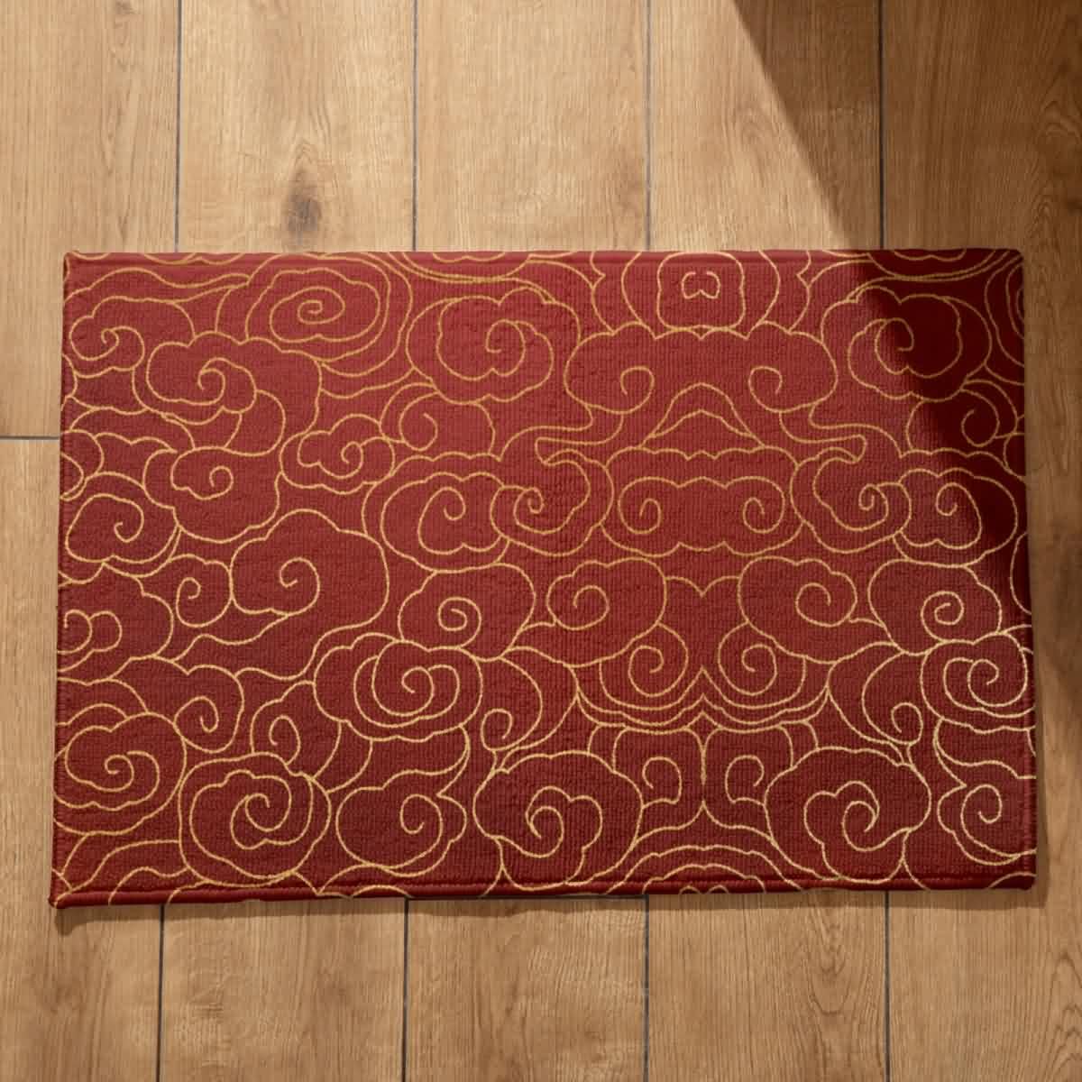 Tapis de sol porte d'entrée extérieur absorbant 50x80cm