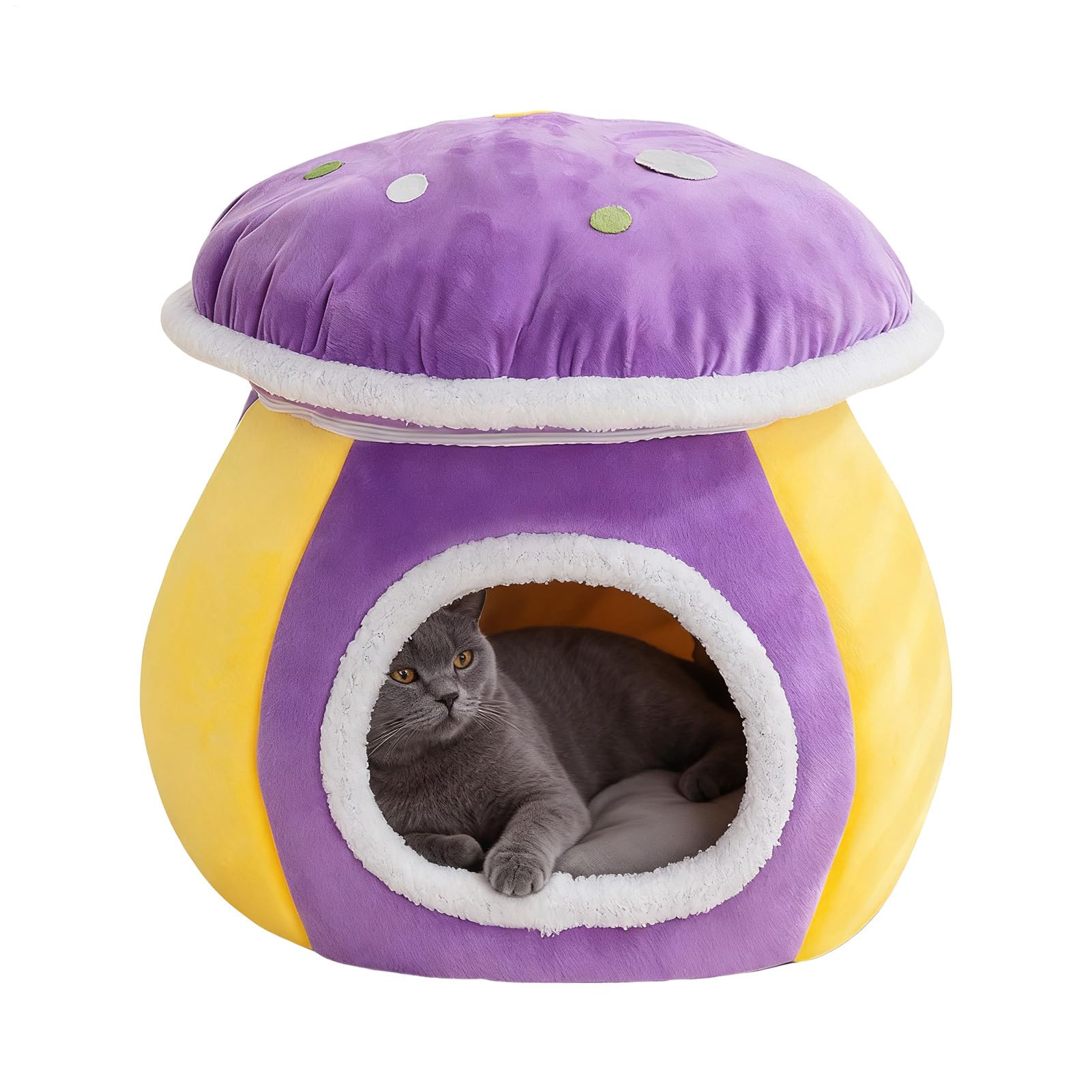 Lit d'hiver en forme de champignon protégeant le chat du froid au sol