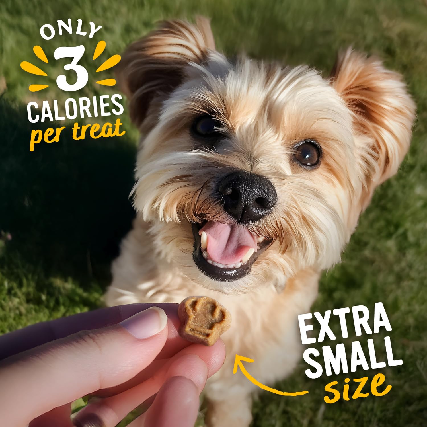 Blue Dog Bakery Perfect Trainers, Mini Dog Training Treats, Soft & Chewy, Made w/USA Beef, Healthy Treats, All Natural, Extra Small, 6 oz (Pack of 1) - image 5