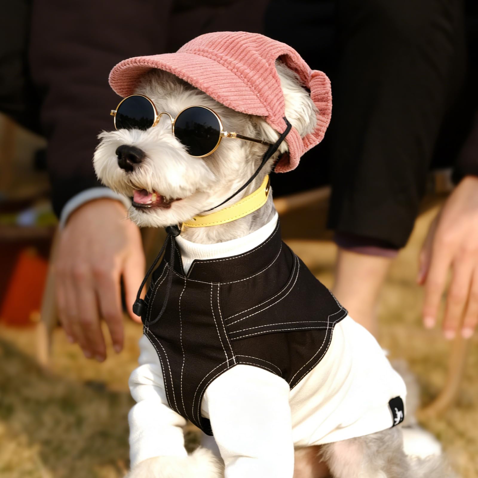 Berretto estivo con protezione solare per cani con occhiali per cani, cappello per cani, occhiali per cani di piccola taglia, costume per gatti, set di protezione UV per cuccioli e piccoli