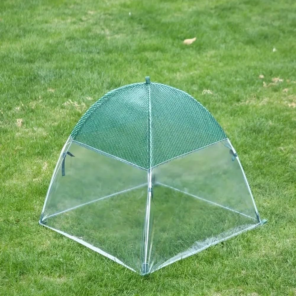 Protectora Plantas 60cm Antiaves con Estacas Protectora Plantas(PE White +4)