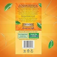 Vista 590 de Twinings Blackcurrant Breeze - Té negro, 6 paquetes de 20 unidades, bolsas de té envueltas individualmente, dulce, sabor picante, con cafeína