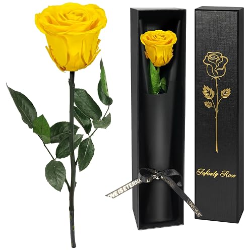 Yamonic Preserved Roses Flowers Gifts for Women, Eternal Single Rose