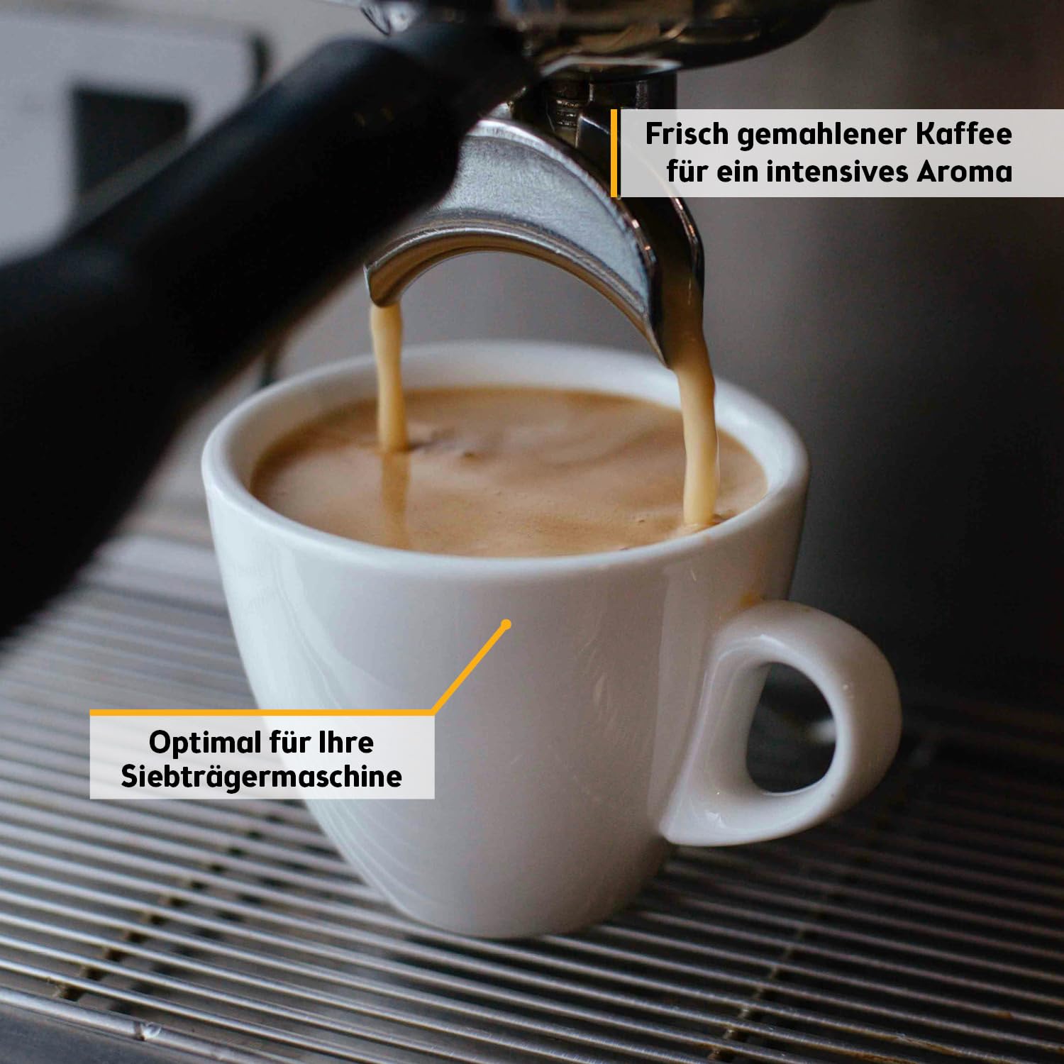 TZS First Austria - 2-in-1 Elektrische Kaffeemühle & Milchaufschäumer - 200W - 2 Edelstahlschalen 50g/100ml - 2 Geschwindigkeitsstufen - Für Kaffeebohnen, Gewürzen & Nüssen - Silber