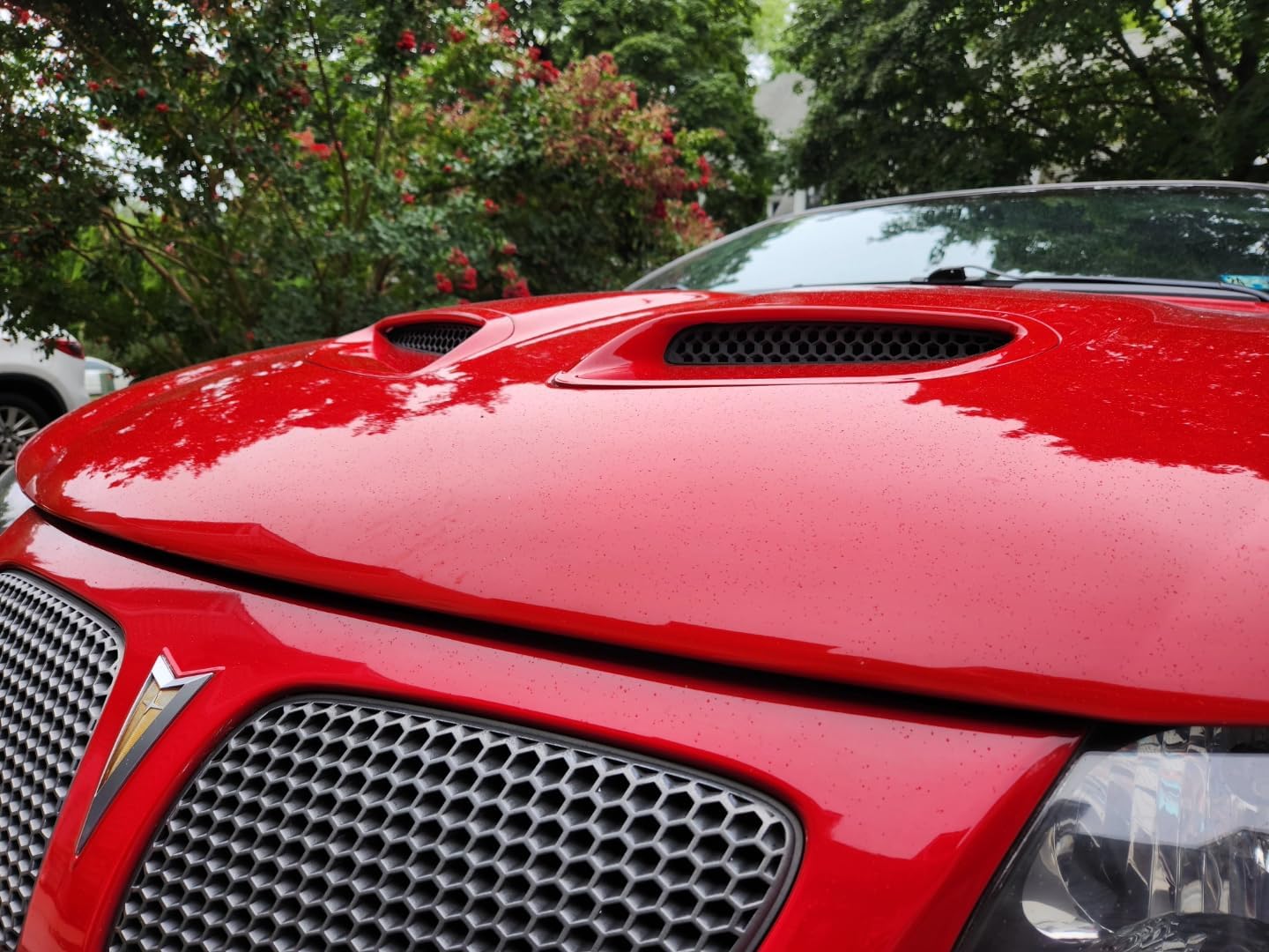 2004-2006 Pontiac GTO Hood Scoop Mesh Vents Relpacement Parts