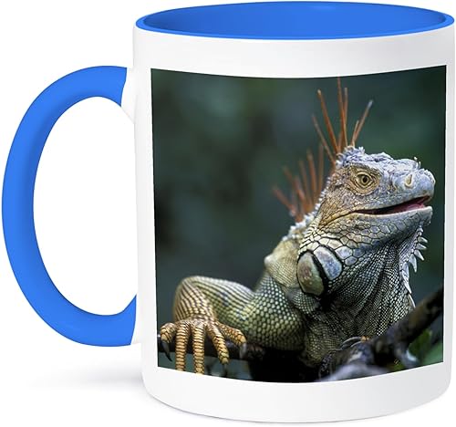 3dRose Costa Rica, Muelle San Carlos, Iguana lagarto-SA22 PSO0005-Paul Souders - Taza de dos tonos, 11 onzas, azul/blanco