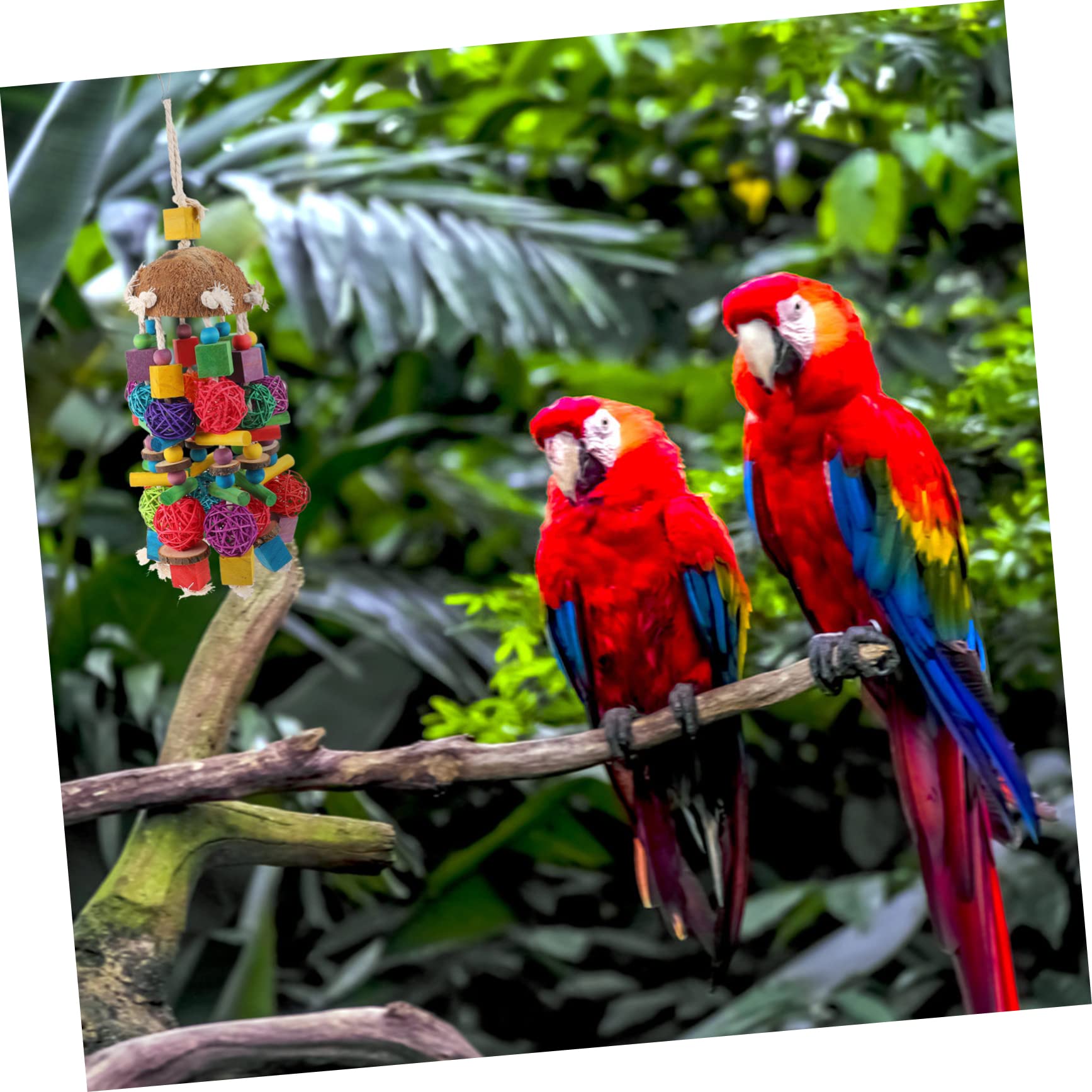 Angoily 1piezas Juguete para Aves De Jaula Accesorios para Periquitos Juguete Colgante De Natural para Mascotas para Masticar y Jugar La Jaula De Aves